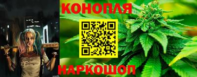 гашик Гусев