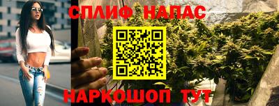 гашик Гусев