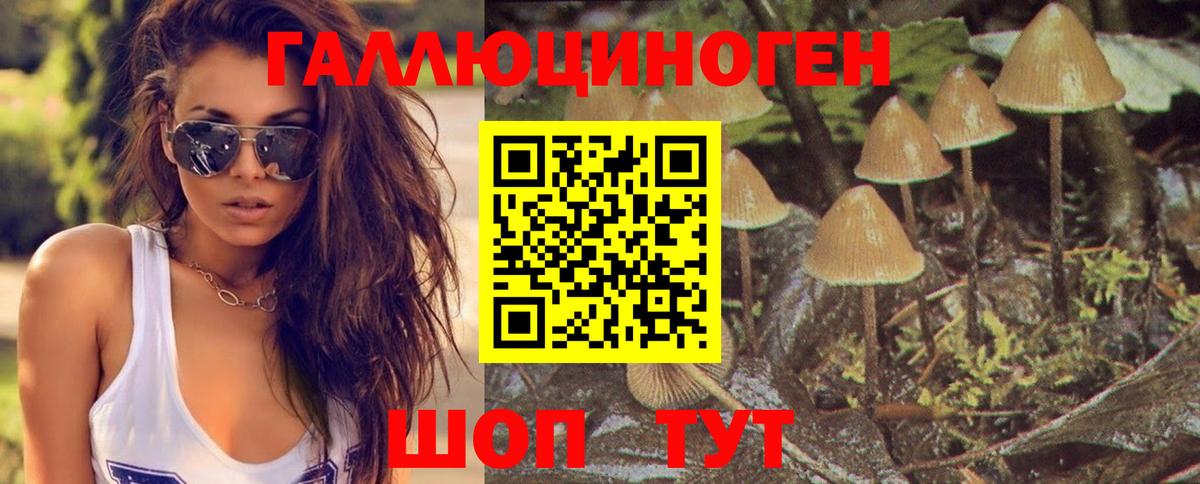 Орёл  Псилоцибиновые грибы Psilocybe  Псилоцибиновые грибы мицелий  Вход с VPN 